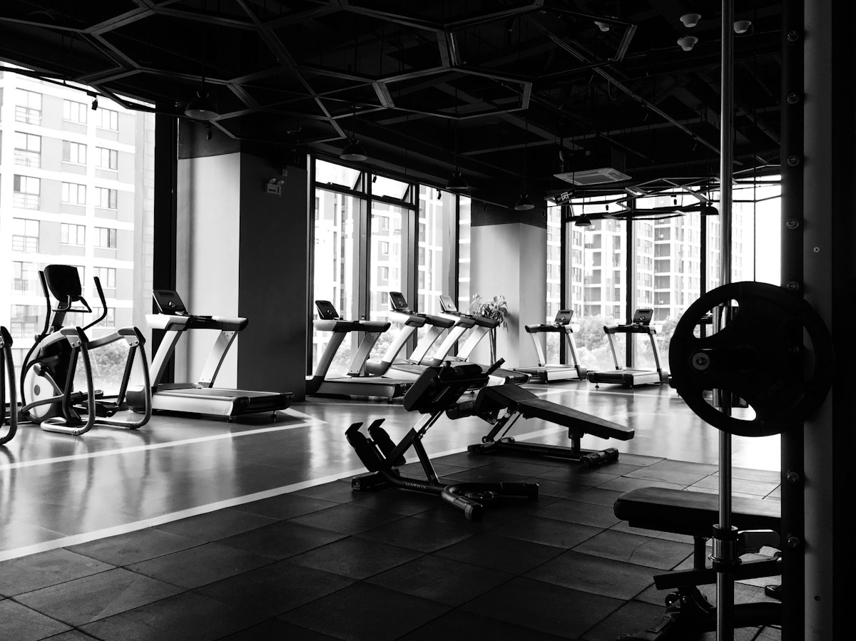 Row of commercial treadmills and cardio machines overlooking large windows